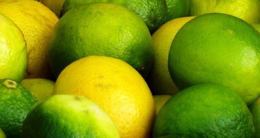 Precio del limón podría subir ante extorsiones a productores de Apatzingán