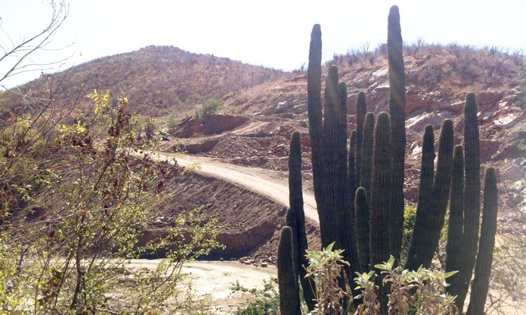 Organizaciones en BCS piden que SEMARNAT cancele definitivamente a mina Los Cardones