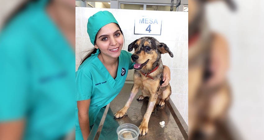 UABCS se suma a campaña nacional de vacunación antirrábica canina y felina organizada por la Secretaría de Salud