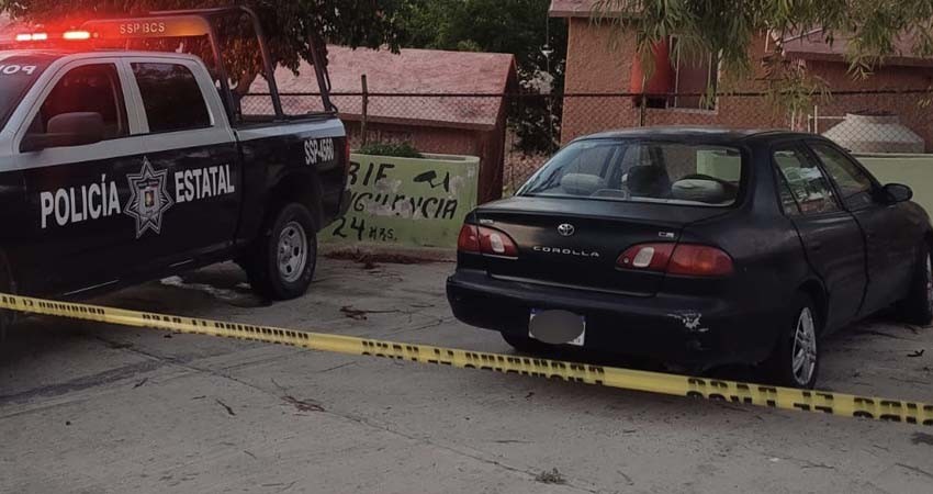 Una persona detenida y seis vehículos con reporte de robo, recuperados