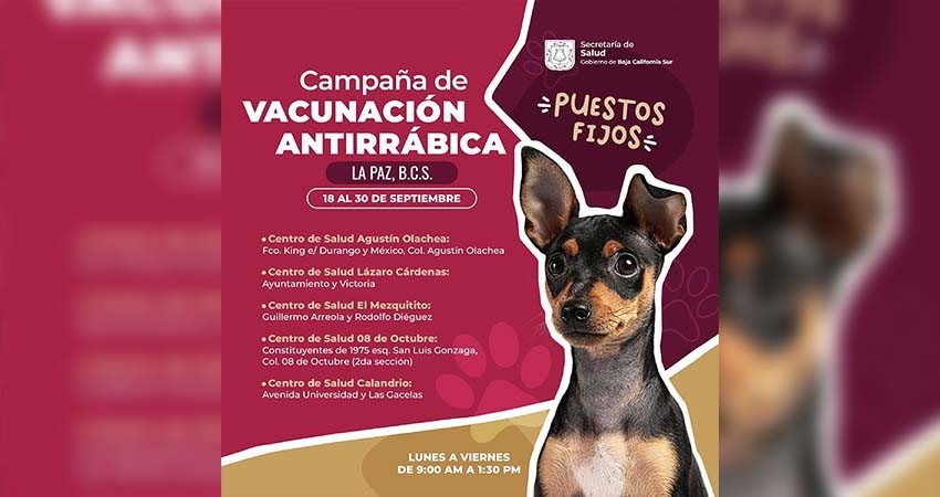 Emprenderá Secretaría de Salud campaña de vacunación antirrábica canina y felina