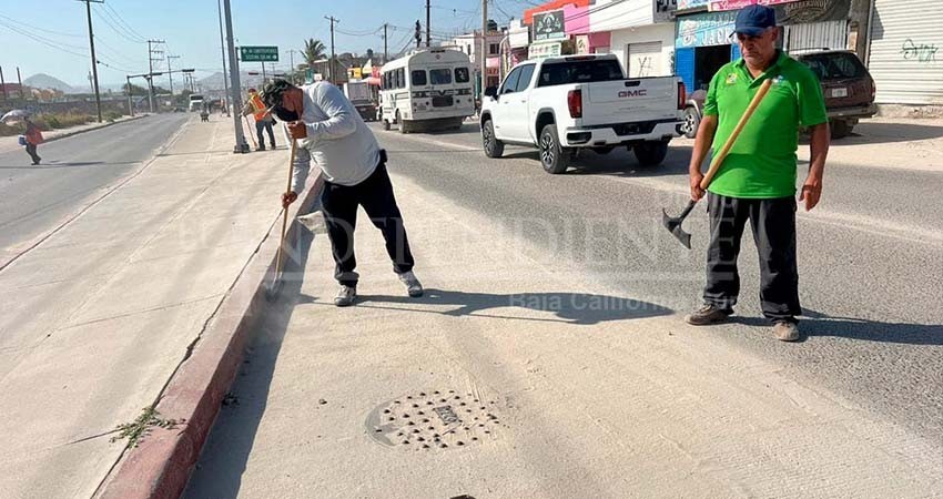 Continua Servicios Públicos con el embellecimiento de los camellones de CSL