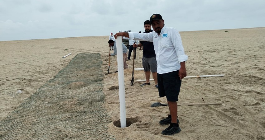 Amplían corral de incubación de huevo de tortuga ubicado en el humedal Josefino
