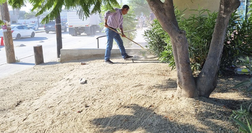 Continúa Servicios Públicos con las diversas actividades de limpieza en Los Cabos