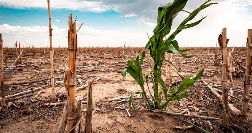 Temporada baja de huracanes tiene al país sin lluvias y con altas temperaturas