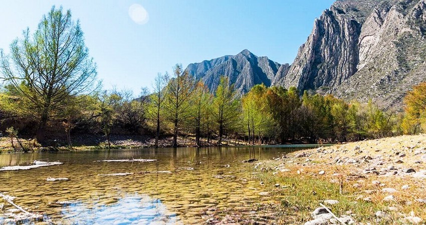 Sólo 3 de 17 nuevas áreas naturales protegidas tienen presupuesto, 3 guardaparques y 4 director
