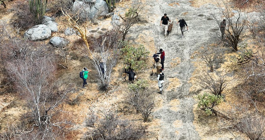 Refrenda gobierno de BCS, compromiso en materia de búsqueda de personas: CEBP