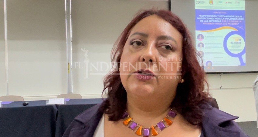 Prometen INE, IEE y TEE evitar que ningún agresor o deudor llegue al poder