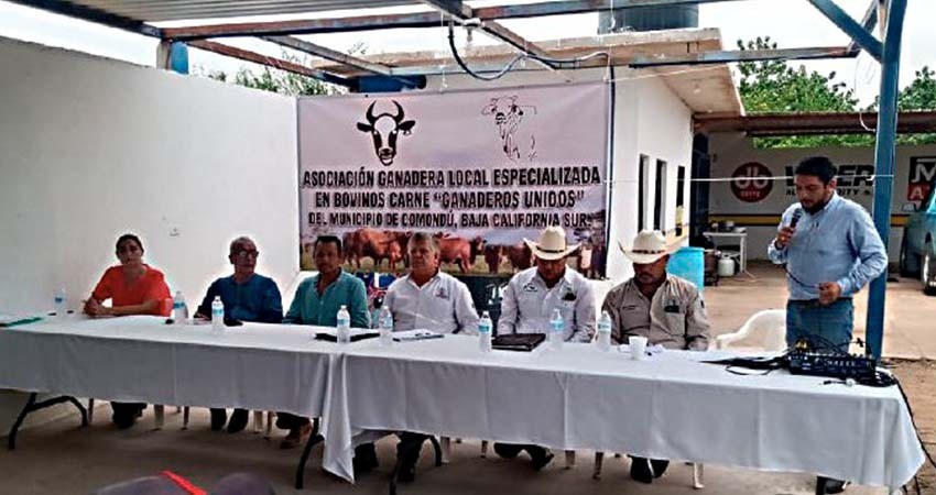 Desarrollo productivo con organización y trabajo conjunto: Bermúdez Beltrán