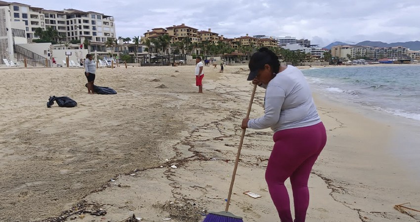 Continúan las labores de limpieza por parte del personal de ZOFEMAT en playas de Los Cabos