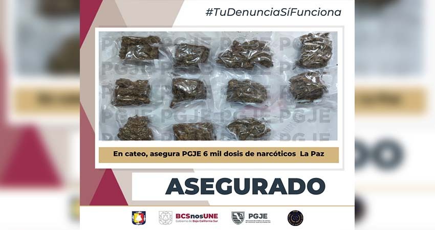 Mediante cateo aseguran 6 mil dosis de marihuana en La Paz