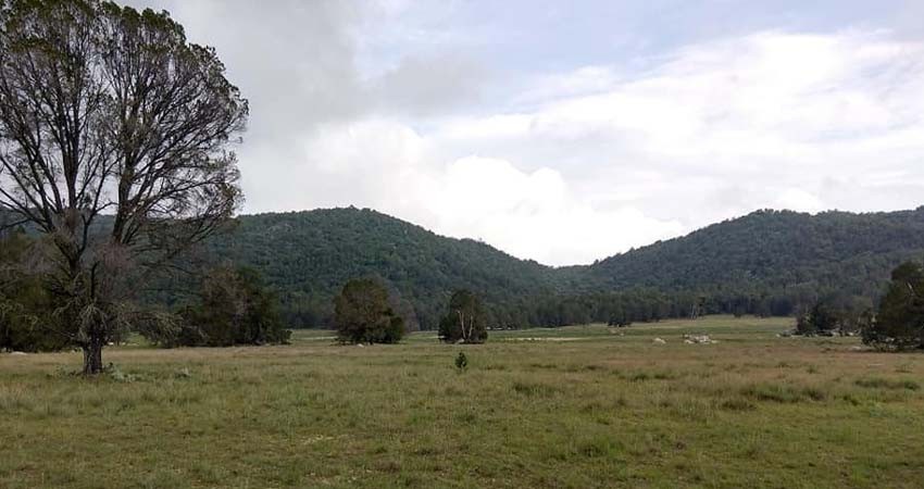 Gobierno no apoya declaratoria de ANP, para sierra La Giganta y Sierra Guadalupe: Davis Castro