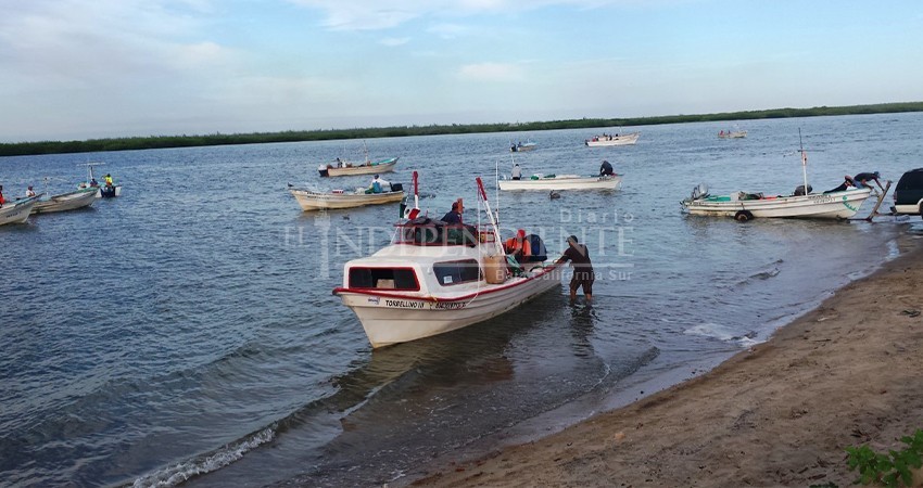 Garantizado el seguro para pescadores de BCS para el 2024: Sepada