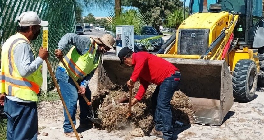 Avanza recolección de residuos tras la jornada “La Paz Limpia”