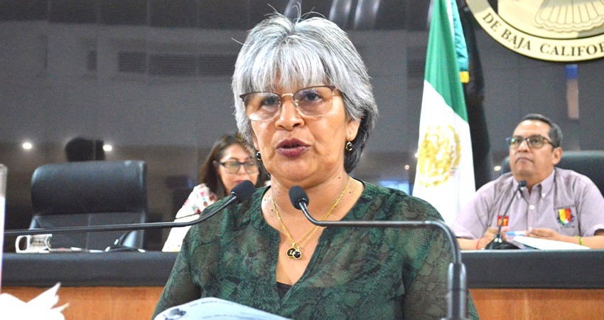 Pide Diputada María Luisa Trejo clarificar el texto del artículo 206 del Código Penal del Estado