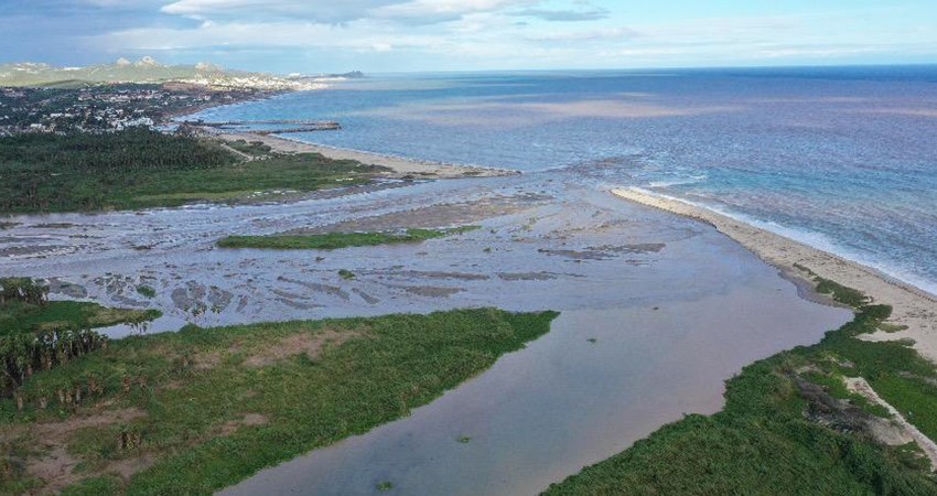 “Norma” expulsó el 80% del lirio acuático del Estero Josefino