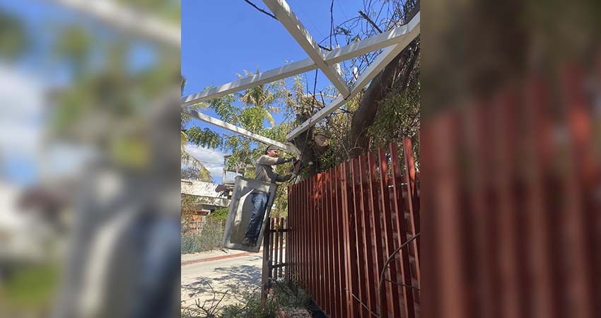 70% de las escuelas ya operan de manera regular en Cabo San Lucas tras el paso de “Norma”