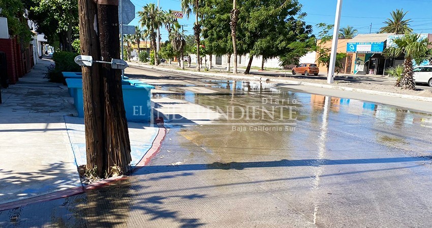 Piden Asociación Civil que se aceleren los trabajos de desazolve del drenaje en La Paz