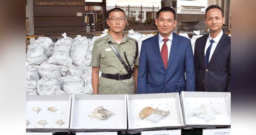 Hong Kong decomisa metanfetamina en costales con logo de Segalmex