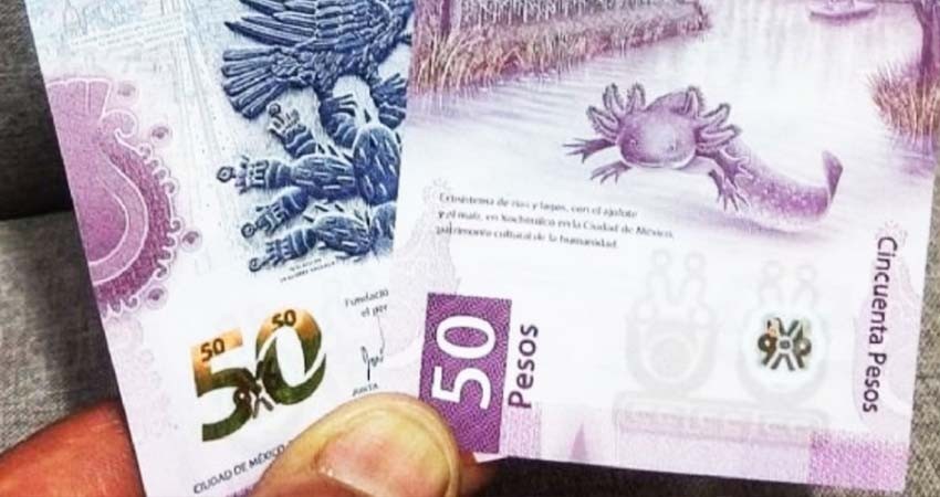Billete de 50 pesos con ajolote se vende en 400 mil pesos