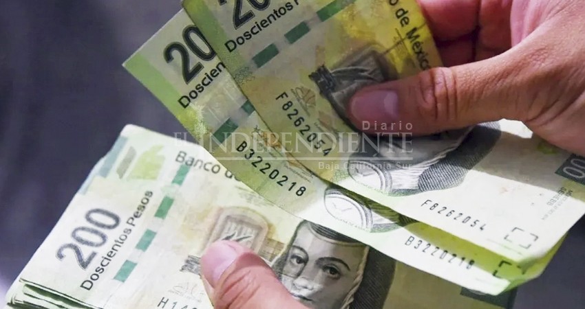 En BCS se ganan hasta 30 mil pesos al mes: Zavala Agundez