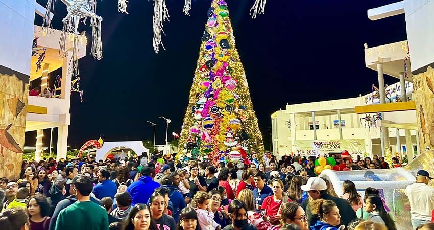 Mediante festival navideño, encienden el árbol navideño del Ayuntamiento de La Paz