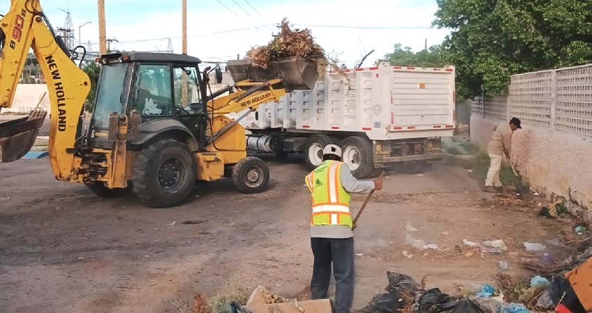 Recolecta Servicios Públicos más de 256 toneladas de basura en vialidades