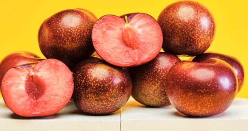Alerta Cofepris por frutas importadas contaminadas con peligrosa bacteria