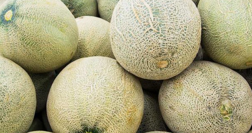 Alerta Cofepris por frutas importadas contaminadas con peligrosa bacteria