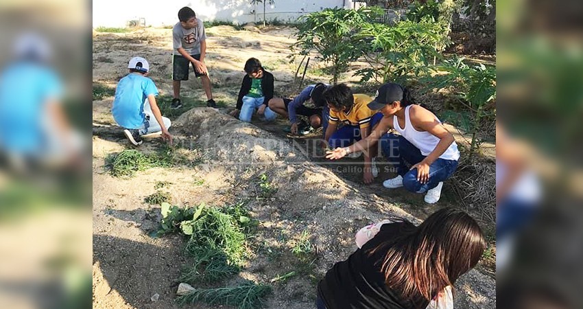 Centro Comunitario La Playa trabaja en huerto para habitantes locales