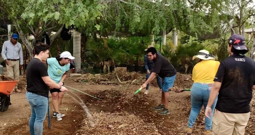 Imparten en la UABCS curso para la elaboración de composta