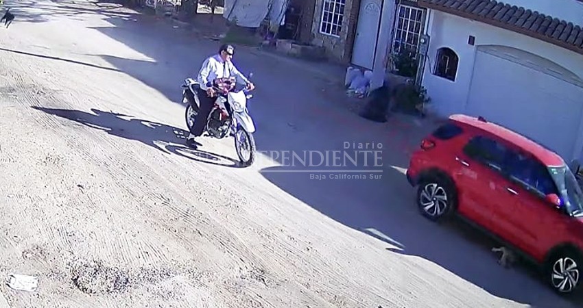 Exhiben en redes maltrato animal en el municipio de Los Cabos