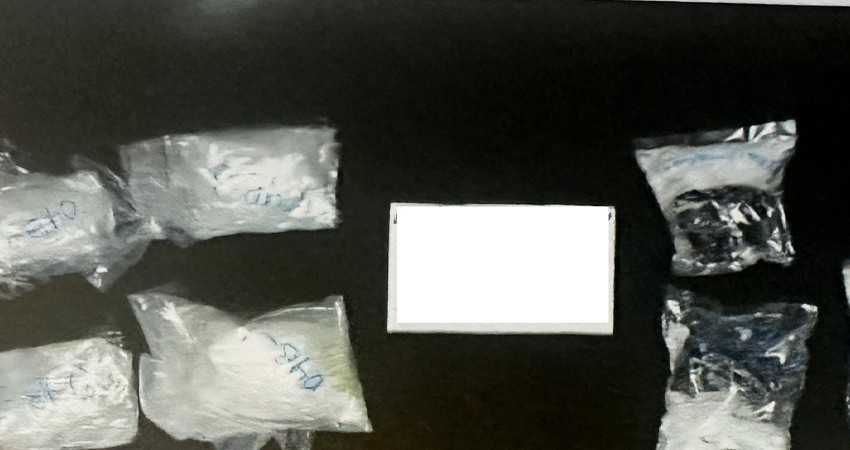 Resultados de la FGR en baja california sur durante el año 2023