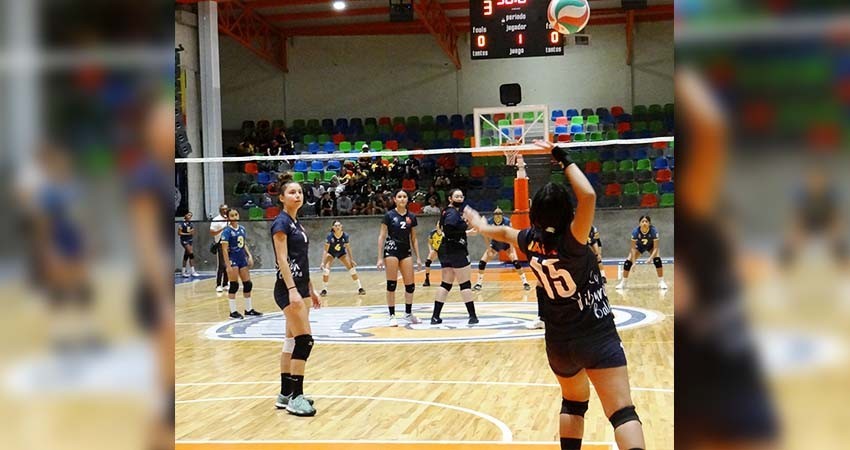 Celebrarán municipales de voleibol de sala femenil y tae kwon do en La Paz