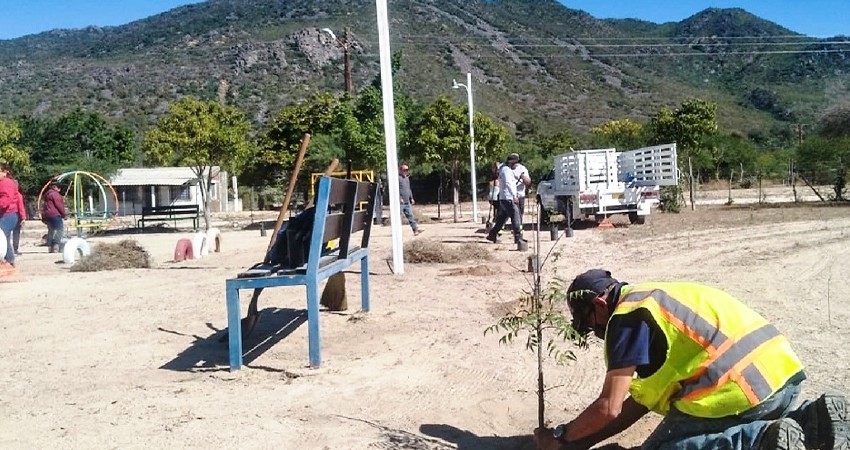 Dan mantenimiento y reforestan a espacios públicos del ejido Álvaro Obregón