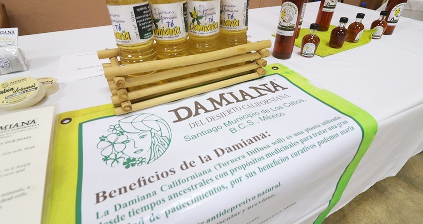 La medicina tradicional a través de la flora nativa