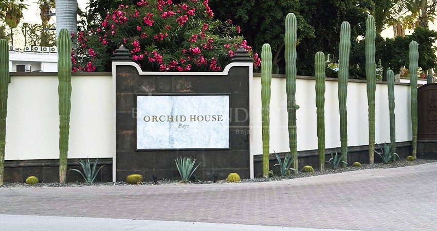 Casa de gobierno “El Caimancito” sigue generando recursos para obra pública en BCS