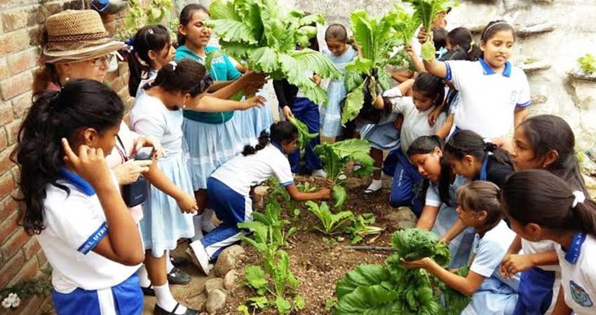 Aprueban constitucionalmente la materia ambiental en el Sistema Educativo: PVEM
