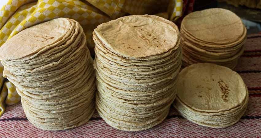 No aumentará precio de harina de maíz en 2024: AMLO