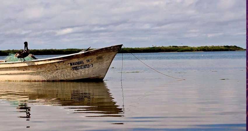Solo 3 touroperadores prestan sus servicios en Puerto López Mateos para el avistamiento de ballena gris