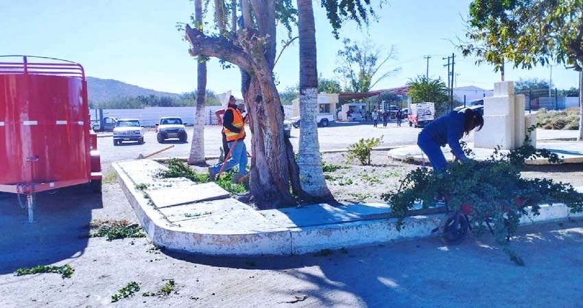 Realiza Servicios Públicos trabajos de mantenimiento del rastro municipal