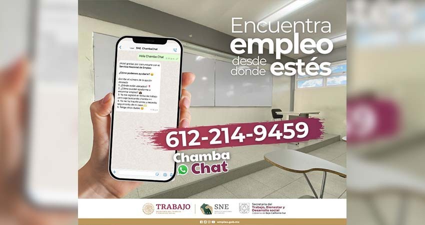 ChambaChat amplía enlace a todo el estado: SNE-BCS