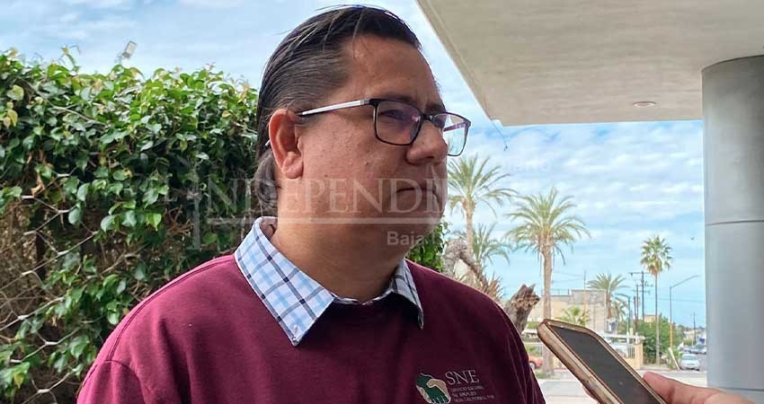 SNE BCS registra 2 casos de estafas por presuntas ofertas de empleo en el extranjero