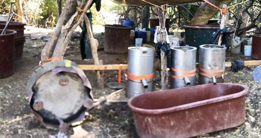 Localizan en Sonora el narcolaboratorio más grande en la historia de México