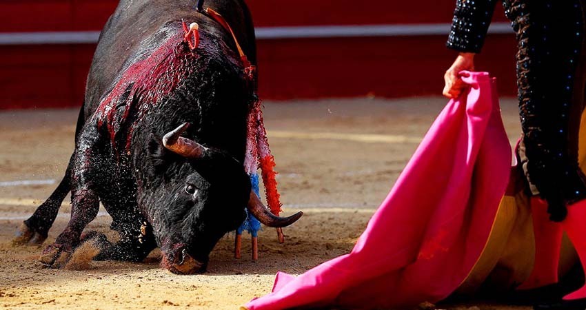 Juez rechaza suspender corridas de toros en la Plaza México