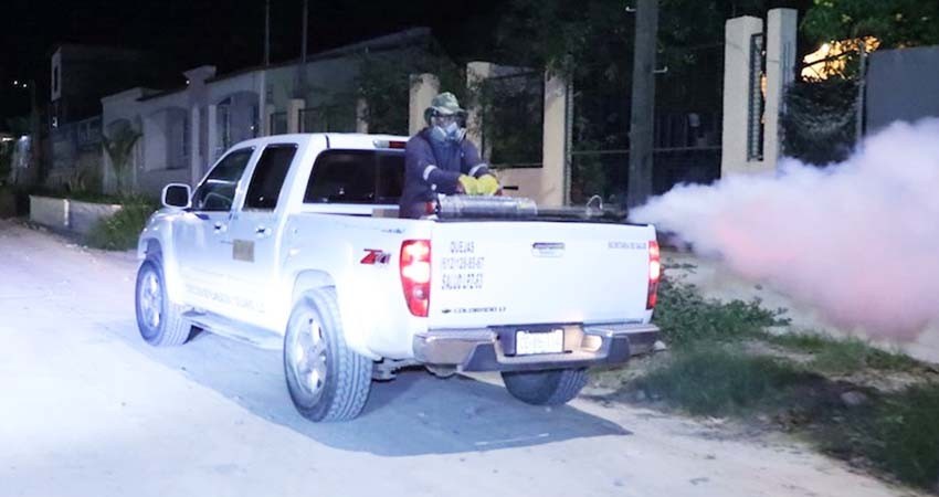 Desarrolla salud estatal segundo ciclo de fumigación contra el dengue de este 2024