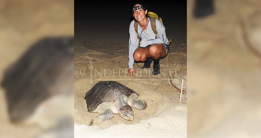 Programa de conservación de tortugas selecciona a voluntaria de Los Cabos para importante investigación