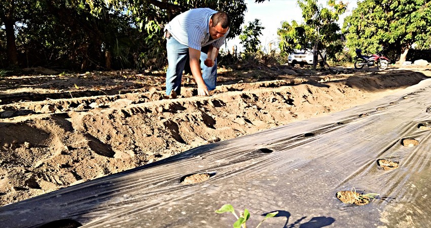 Aplicará gobierno estatal 64.4 MDP en programas para el sector primario productivo