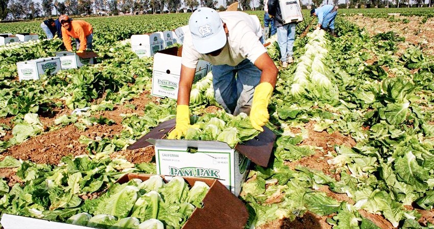 Migrantes mexicanos aportan 324 mmdd a economía de EU: SER