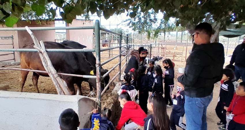 UABCS reanuda visitas guiadas a su Posta Zootécnica